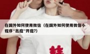 在国外如何使用微信（在国外如何使用微信小程序"出庭"开庭?）