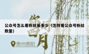 公众号怎么看粉丝量多少（怎样看公众号粉丝数量）