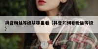 抖音粉丝等级从哪里看（抖音如何看粉丝等级）