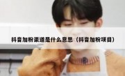 抖音加粉渠道是什么意思（抖音加粉项目）