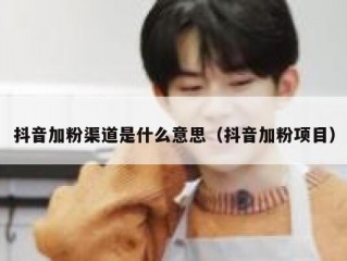 抖音加粉渠道是什么意思（抖音加粉项目）