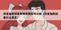 抖音加粉项目有哪些类型可以做（抖音加粉丝是什么意思）