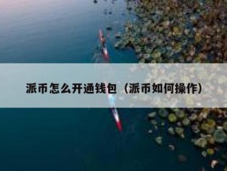 派币怎么开通钱包（派币如何操作）