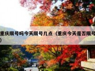 重庆限号吗今天限号几点（重庆今天是否限号）