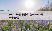 YouTube能看番吗（youtube可以看剧吗）