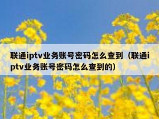 联通iptv业务账号密码怎么查到（联通iptv业务账号密码怎么查到的）