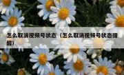 怎么取消视频号状态（怎么取消视频号状态提醒）