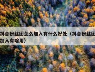 抖音粉丝团怎么加入有什么好处（抖音粉丝团加入有啥用）