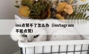 ins点赞不了怎么办（instagram不能点赞）