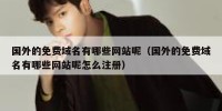 国外的免费域名有哪些网站呢（国外的免费域名有哪些网站呢怎么注册）