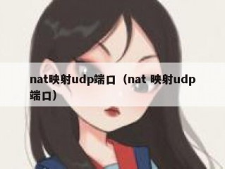 nat映射udp端口（nat 映射udp端口）