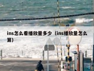 ins怎么看播放量多少（ins播放量怎么算）