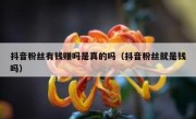 抖音粉丝有钱赚吗是真的吗（抖音粉丝就是钱吗）