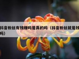 抖音粉丝有钱赚吗是真的吗（抖音粉丝就是钱吗）