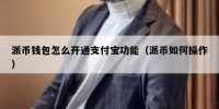 派币钱包怎么开通支付宝功能（派币如何操作）