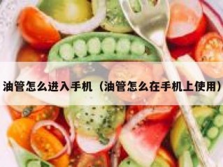 油管怎么进入手机（油管怎么在手机上使用）