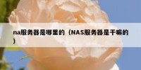 na服务器是哪里的（NAS服务器是干嘛的）