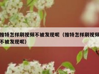 推特怎样刷视频不被发现呢（推特怎样刷视频不被发现呢）