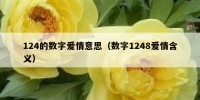 124的数字爱情意思（数字1248爱情含义）