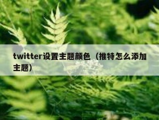 twitter设置主题颜色（推特怎么添加主题）