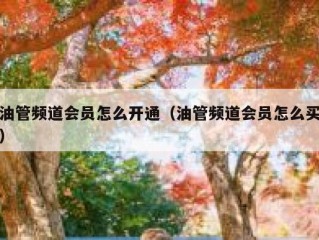 油管频道会员怎么开通（油管频道会员怎么买）