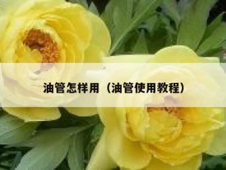 油管怎样用（油管使用教程）