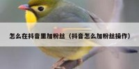 怎么在抖音里加粉丝（抖音怎么加粉丝操作）