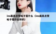 ins最高点赞帖子是什么（ins最高点赞帖子是什么样的）