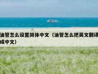 油管怎么设置简体中文（油管怎么把英文翻译成中文）