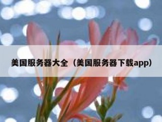 美国服务器大全（美国服务器下载app）