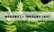 推特怎么看不了了（推特怎么看不了帖子）