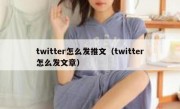 twitter怎么发推文（twitter怎么发文章）