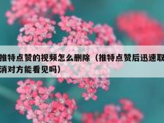 推特点赞的视频怎么删除（推特点赞后迅速取消对方能看见吗）