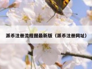 派币注册流程图最新版（派币注册网址）