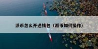 派币怎么开通钱包（派币如何操作）