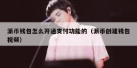 派币钱包怎么开通支付功能的（派币创建钱包视频）