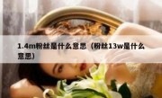 1.4m粉丝是什么意思（粉丝13w是什么意思）