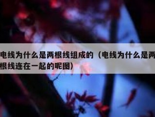 电线为什么是两根线组成的（电线为什么是两根线连在一起的呢图）
