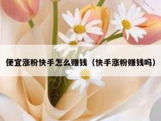 便宜涨粉快手怎么赚钱（快手涨粉赚钱吗）
