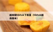 越南版tiktok下载量（tiktok越南版本）