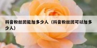 抖音粉丝团能加多少人（抖音粉丝团可以加多少人）