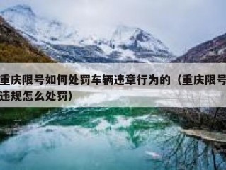 重庆限号如何处罚车辆违章行为的（重庆限号违规怎么处罚）