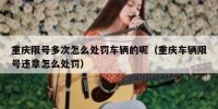 重庆限号多次怎么处罚车辆的呢（重庆车辆限号违章怎么处罚）