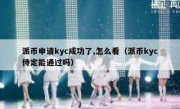 派币申请kyc成功了,怎么看（派币kyc待定能通过吗）