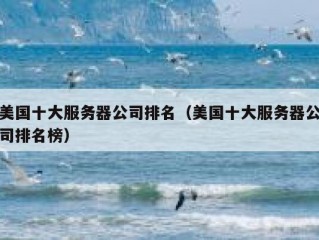 美国十大服务器公司排名（美国十大服务器公司排名榜）