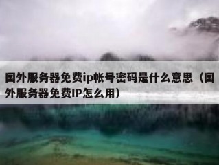 国外服务器免费ip帐号密码是什么意思（国外服务器免费IP怎么用）