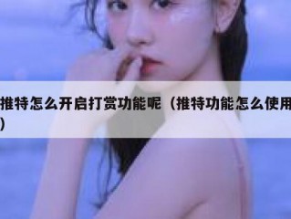 推特怎么开启打赏功能呢（推特功能怎么使用）