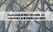 facebook能看到别人的小组吗（facebook别人能看到我加入的小组吗）