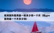 租用国外服务器一般多少钱一个月（租gpu服务器一个月多少钱）