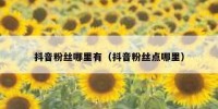 抖音粉丝哪里有（抖音粉丝点哪里）